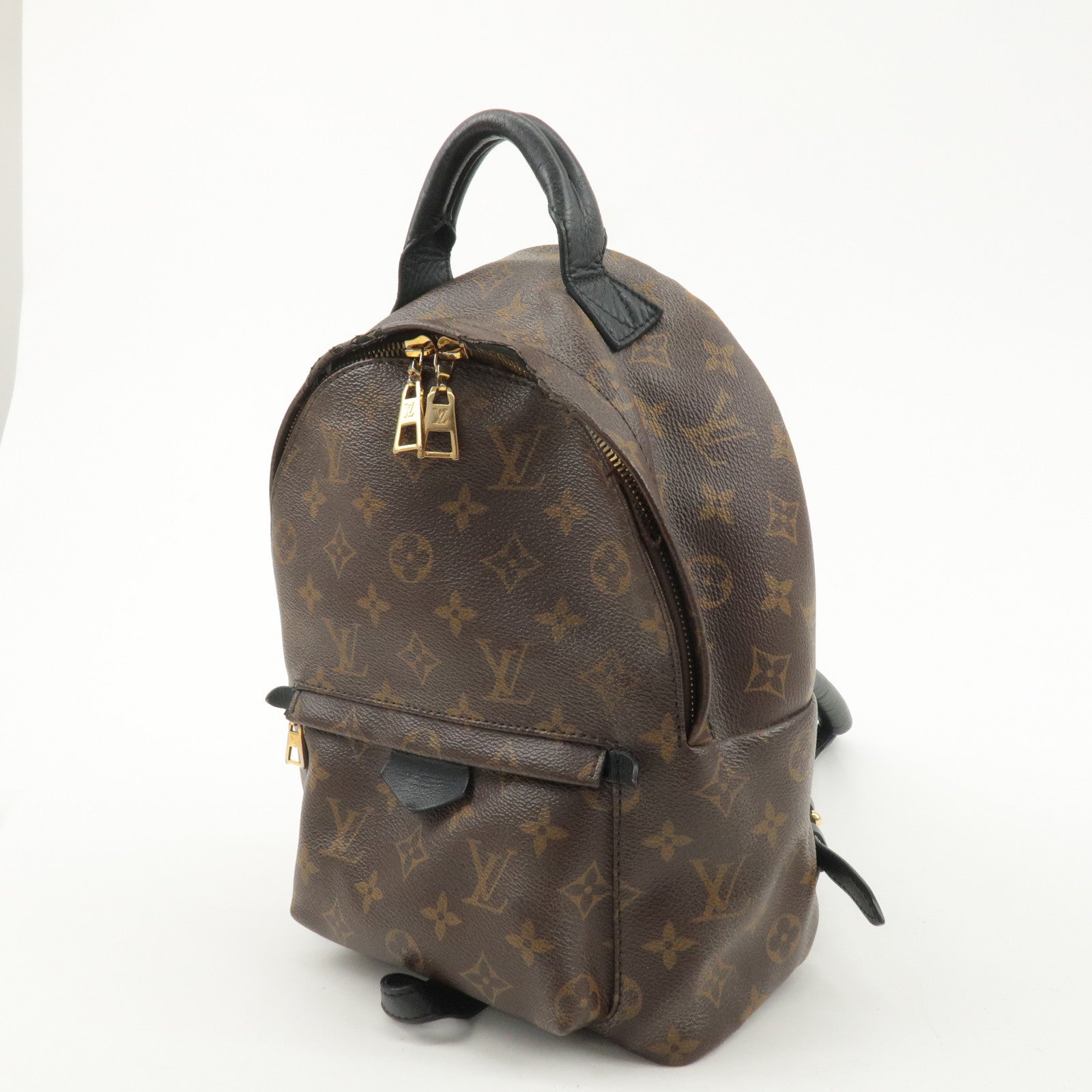 Louis Vuitton Monogram Palm Springs PM Backpack Brown M41560