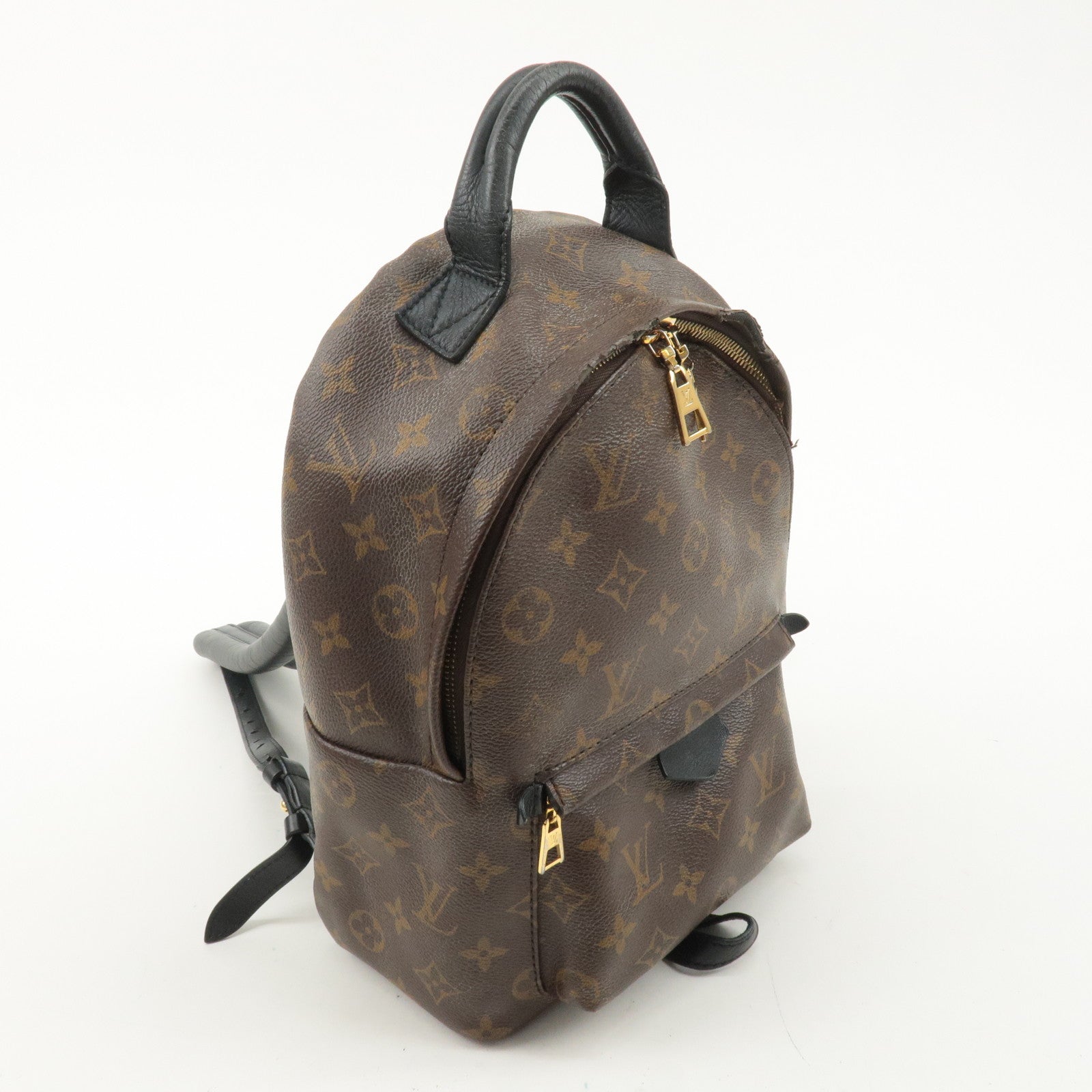 Louis Vuitton Monogram Palm Springs PM Backpack Brown M41560