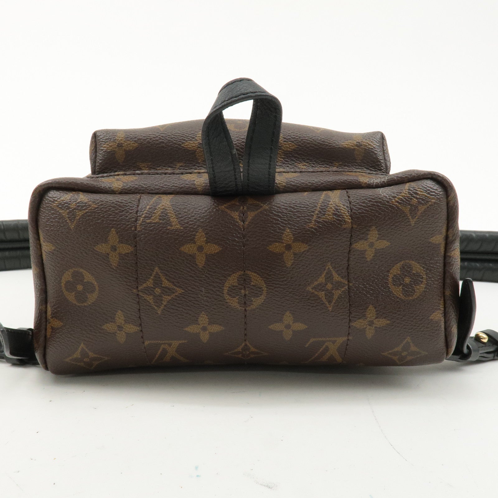 Louis Vuitton Monogram Palm Springs PM Backpack Brown M41560