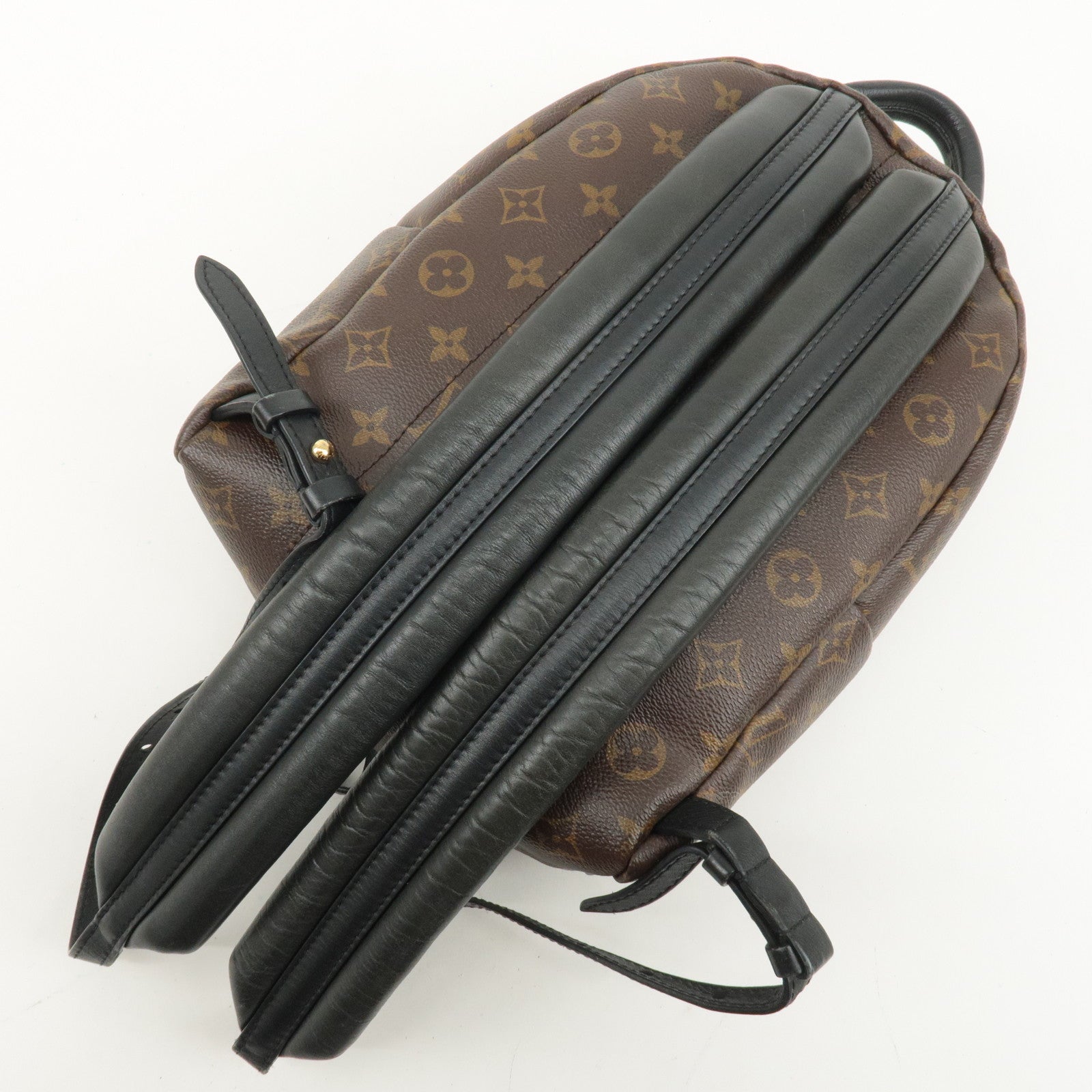 Louis Vuitton Monogram Palm Springs PM Backpack Brown M41560