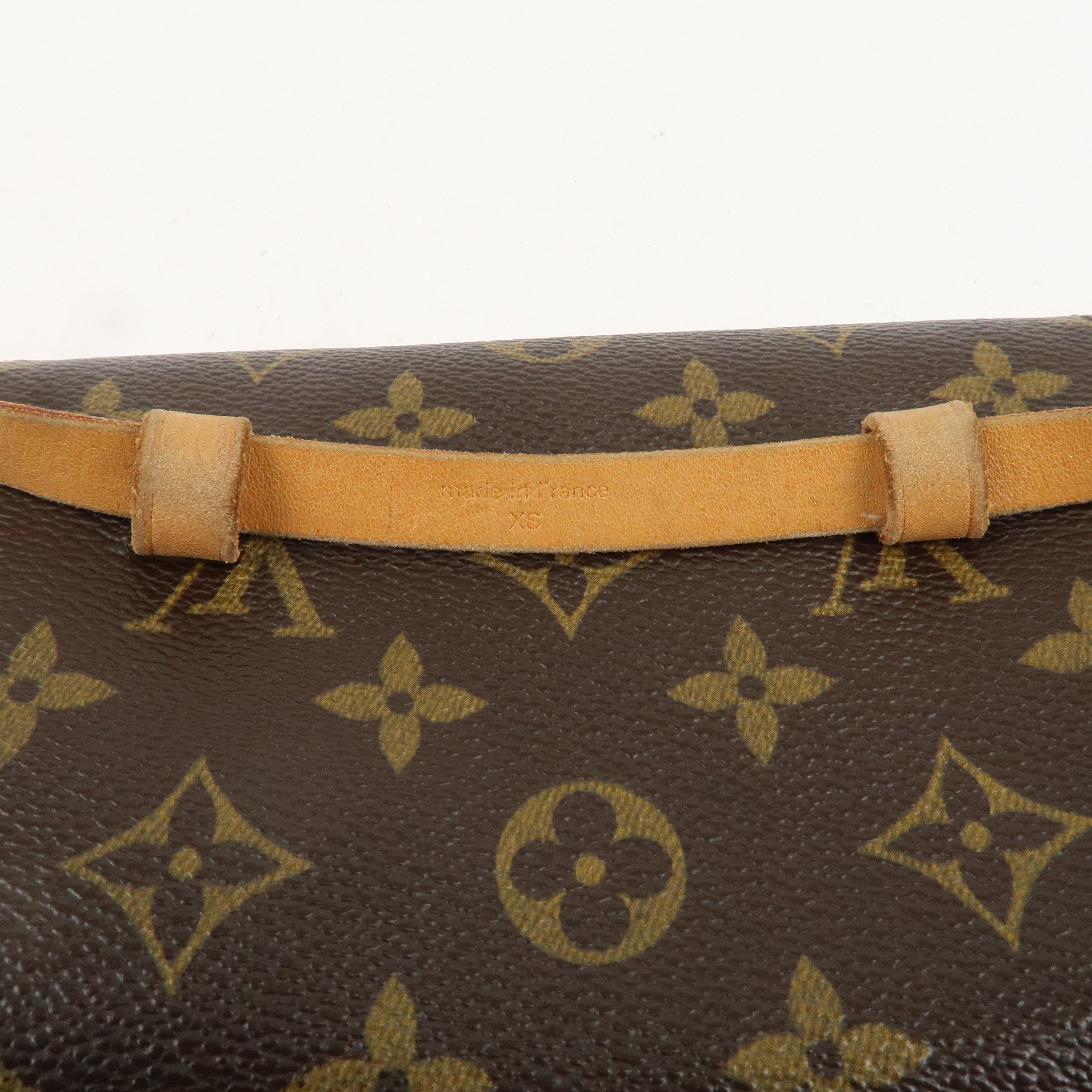 Louis Vuitton Monogram Pochette Florentine WaistBag Belt XS M51855