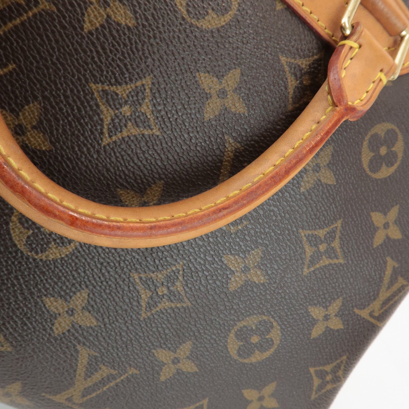 Louis Vuitton Monogram Trueville Hand Bag Brown M42228 Used