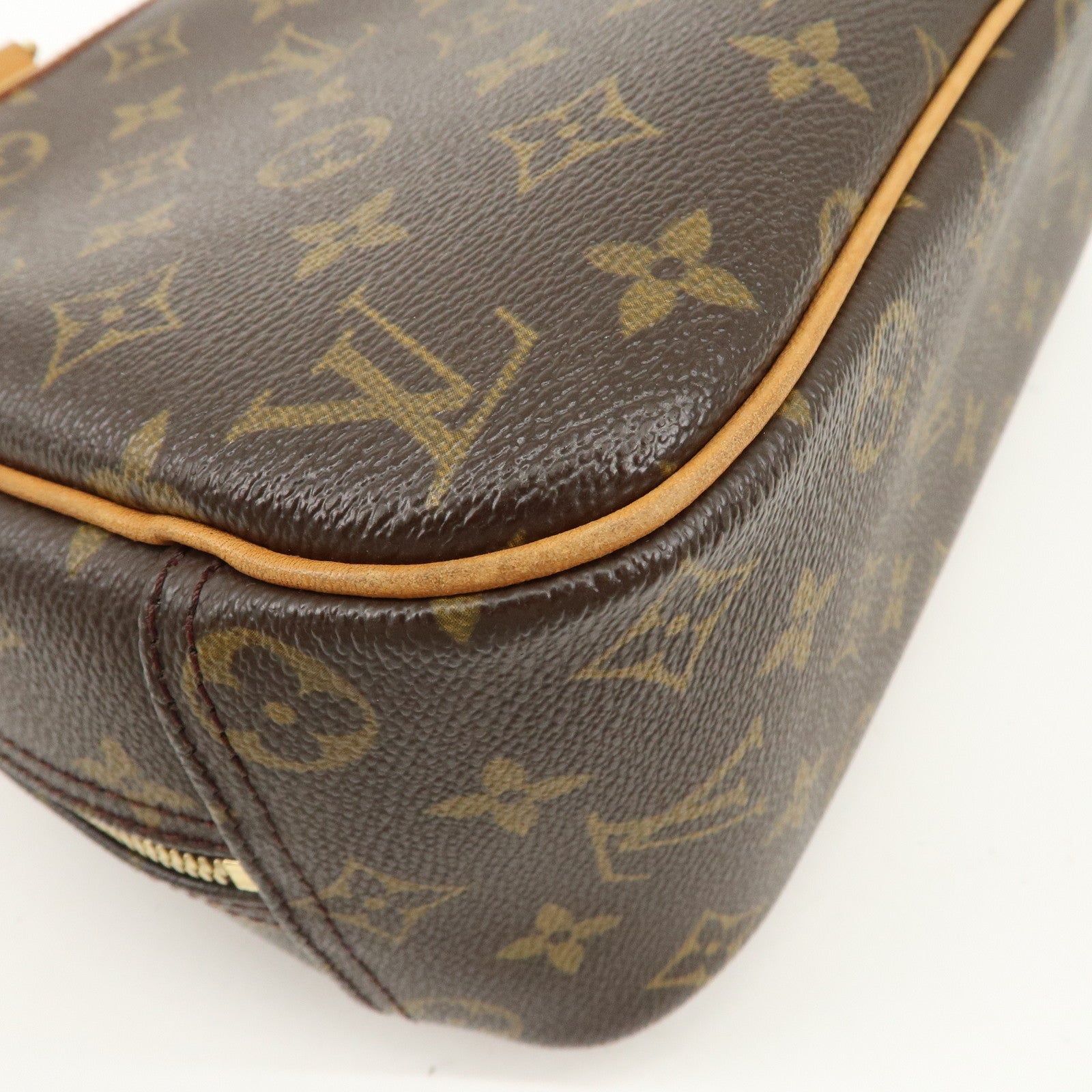 Louis Vuitton Monogram Trueville Hand Bag M42228