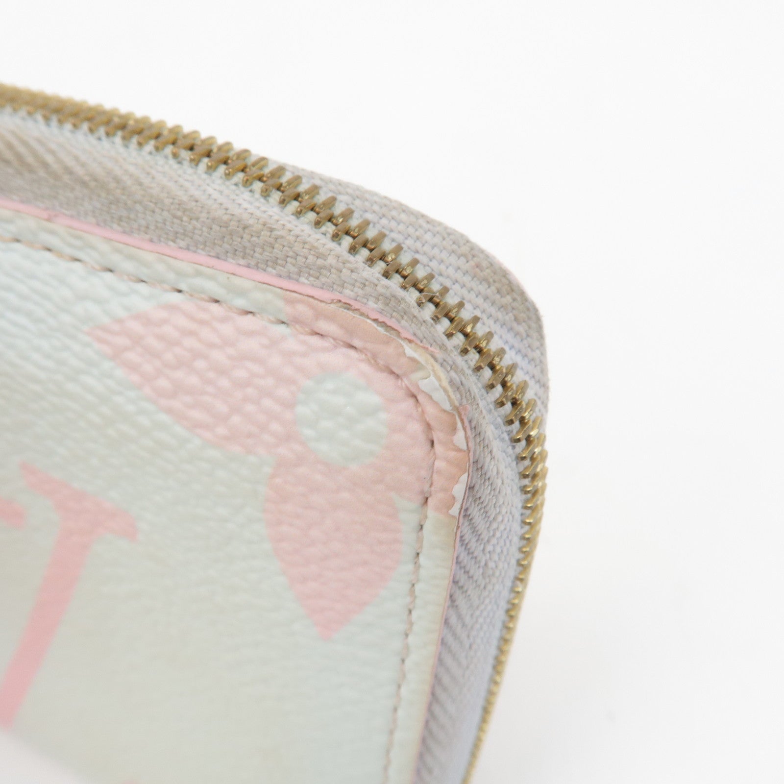 Louis Vuitton Spring in the City Capsule Collection Coin Purse Used