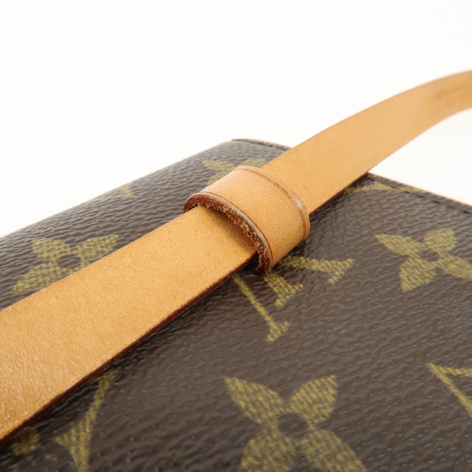 Louis Vuitton Monogram Pochette Florentine Waist Bag BeltXS M51855