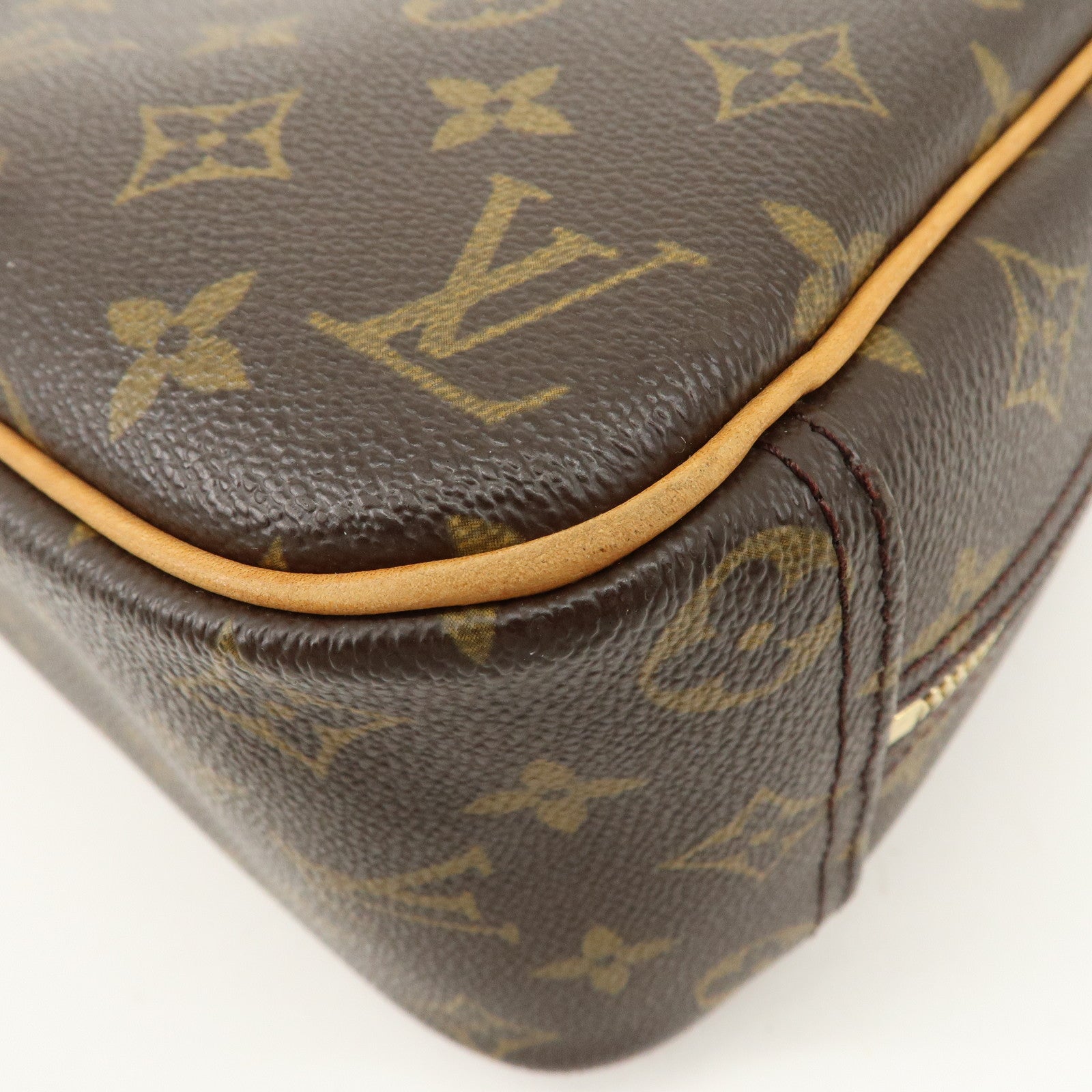 Louis Vuitton Monogram Trueville Hand Bag M42228