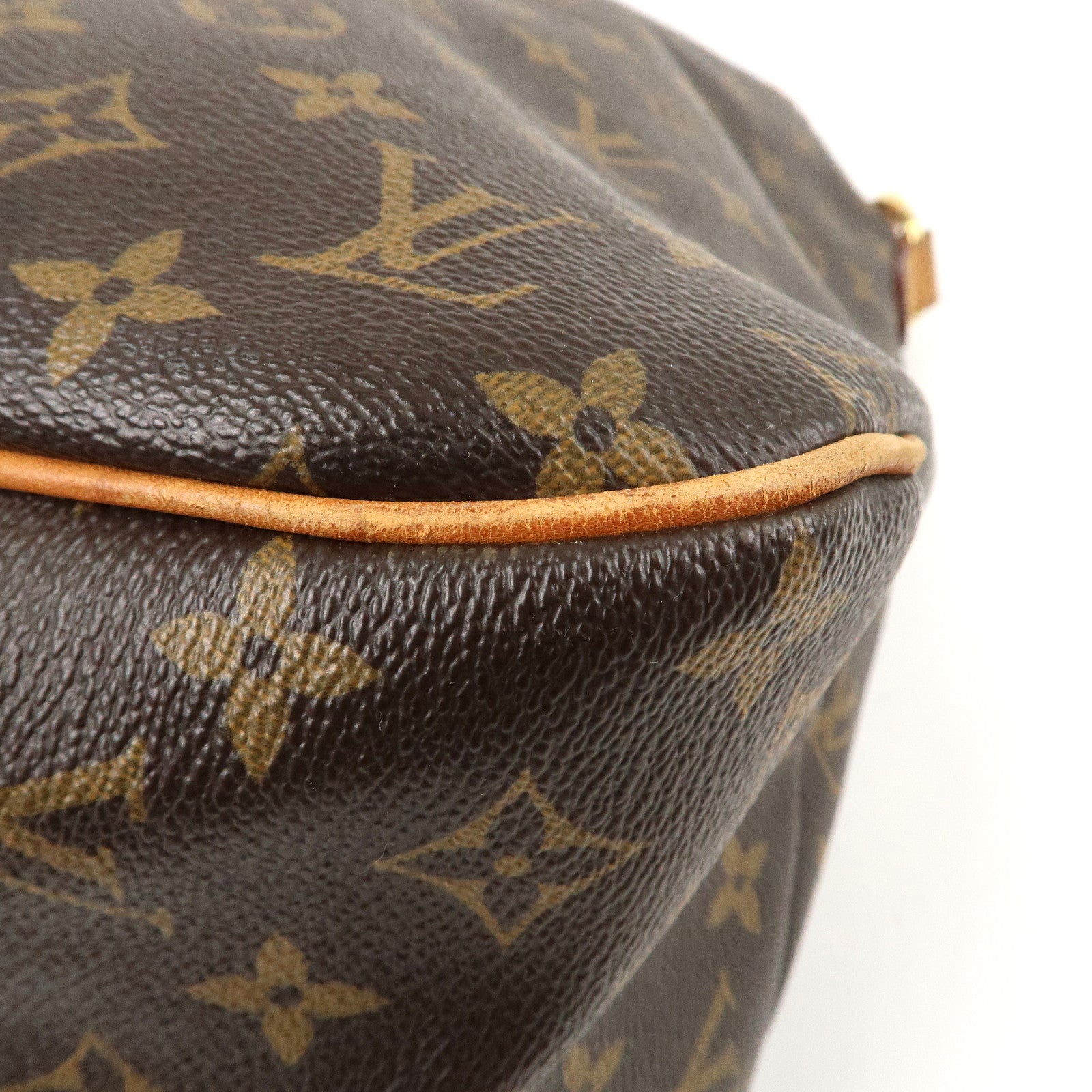 Louis Vuitton Monogram Delightful MM Shoulder Bag M40353