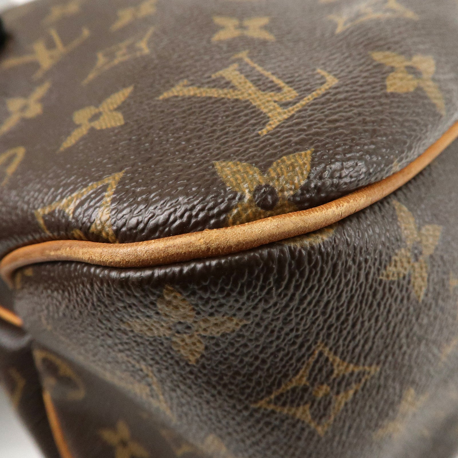 Louis Vuitton Monogram Delightful MM Shoulder Bag M40353