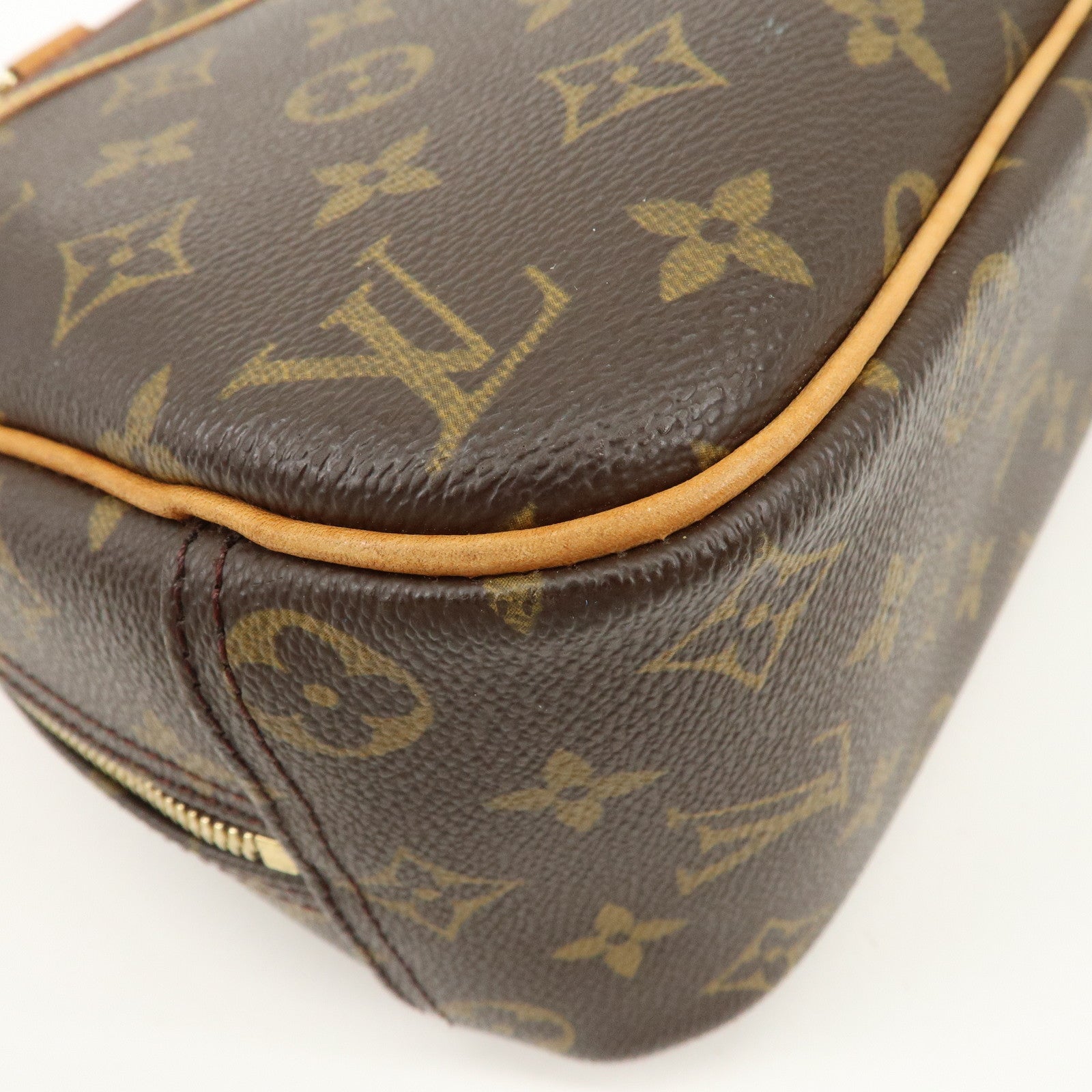 Louis Vuitton Monogram Trueville Hand Bag M42228