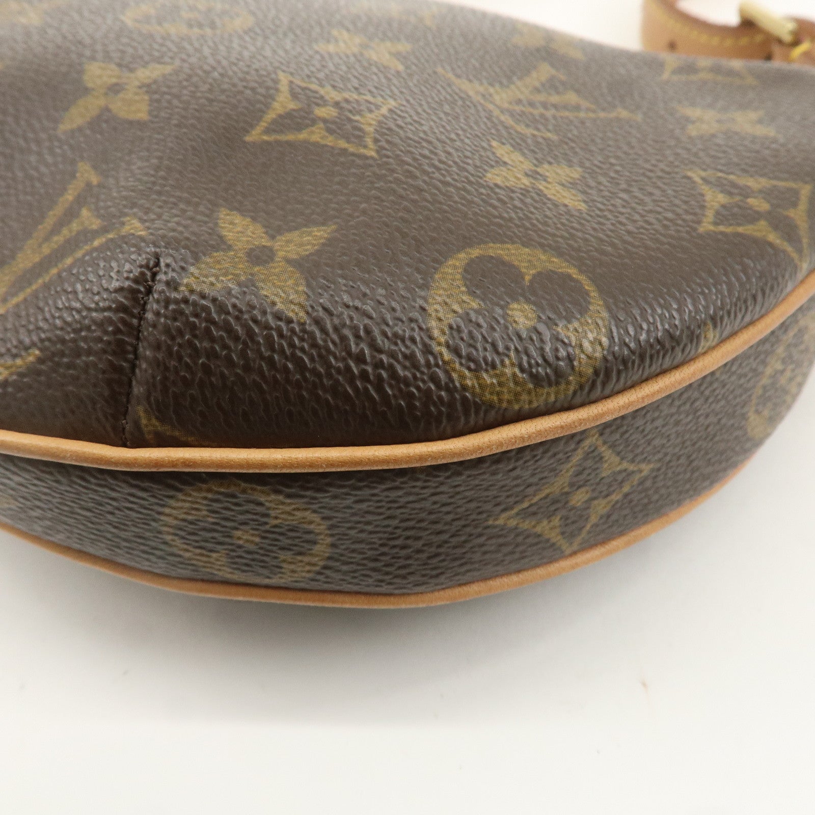 Louis Vuitton Monogram Pochette Croissant Shoulder Bag M51510