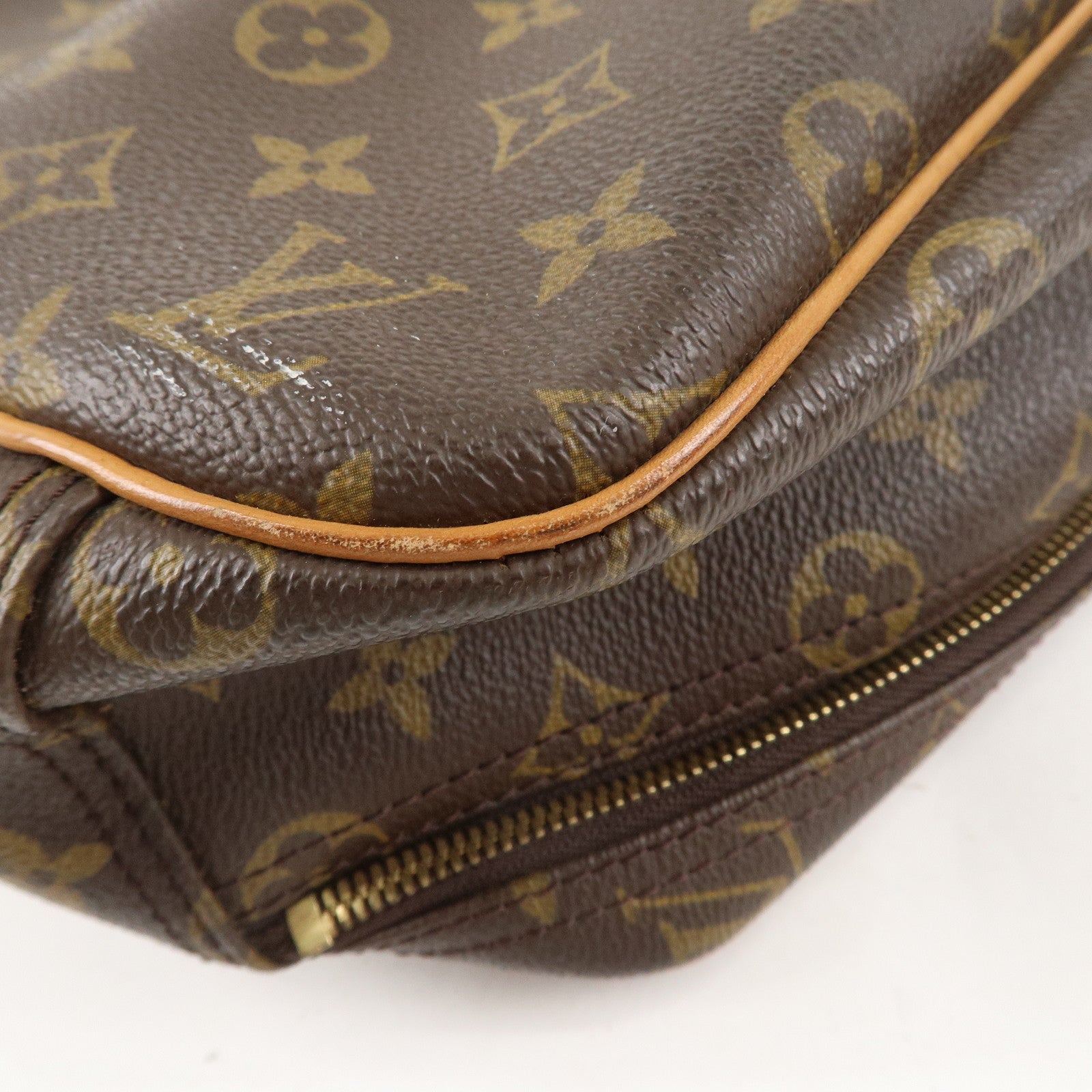 Louis Vuitton Monogram Excursion Shoes Case Hand Bag M41450