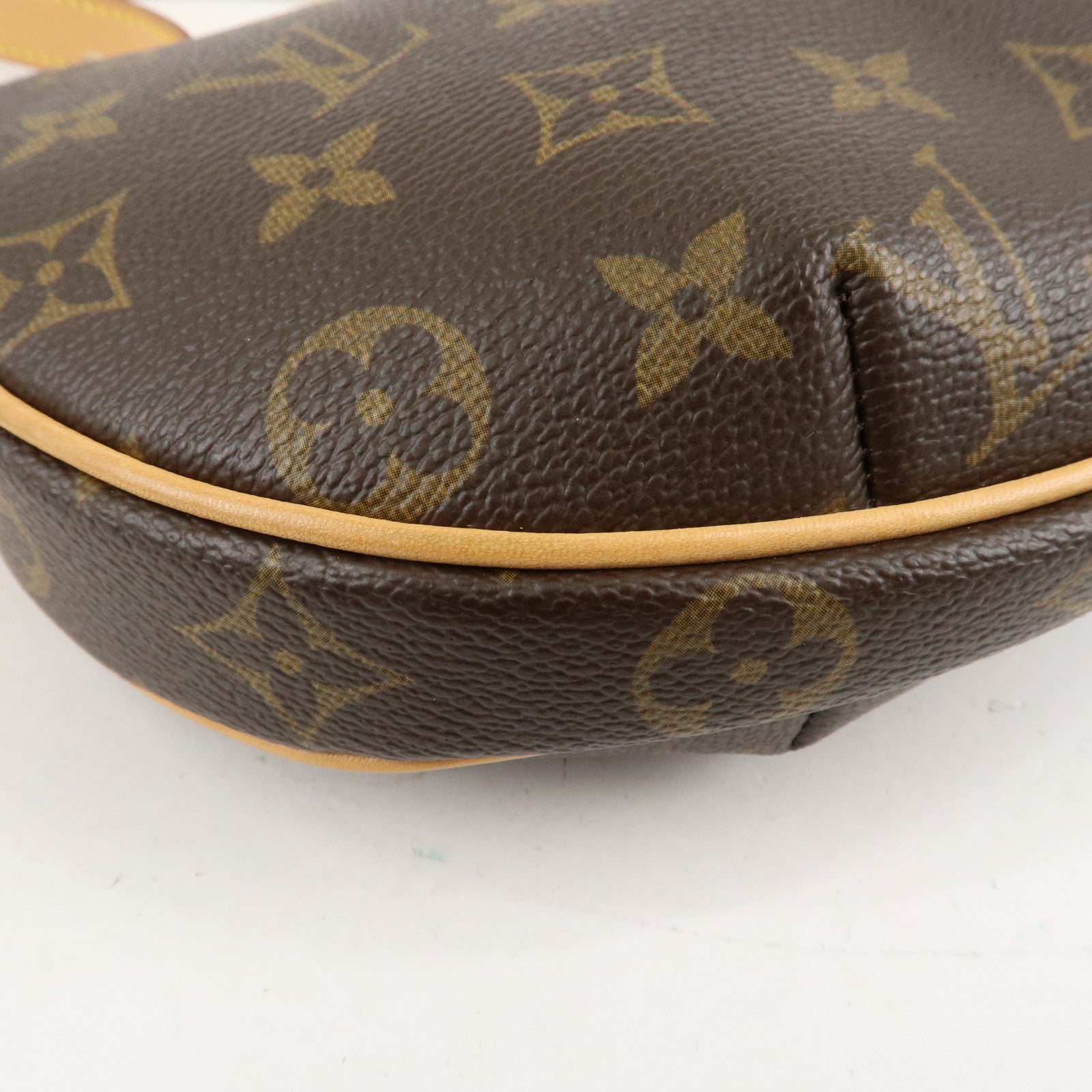 Louis Vuitton Monogram Pochette Croissant Shoulder Bag M51510