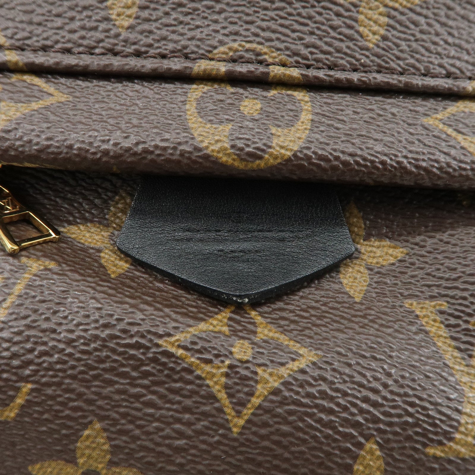 Louis Vuitton Monogram Palm Springs MINI Back Pack M44873