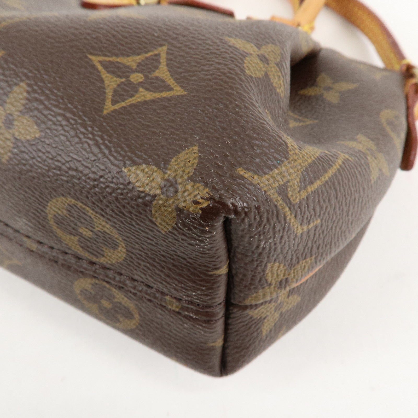 Louis Vuitton Monogram Nano Turenne 2Way Shoulder Bag M61253