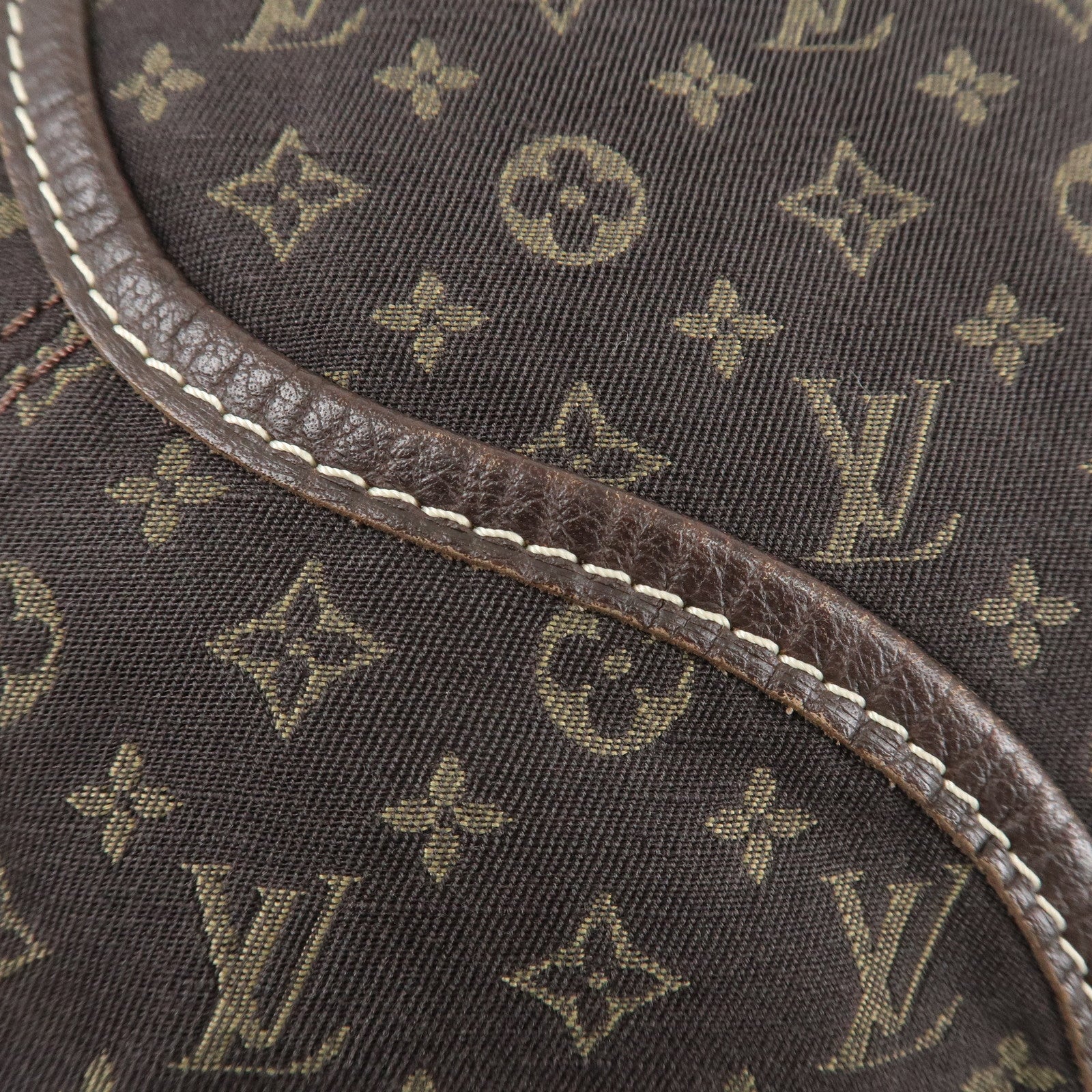 Louis Vuitton Monogram Mini Lin Besace Un Jour 2Way Bag M95617