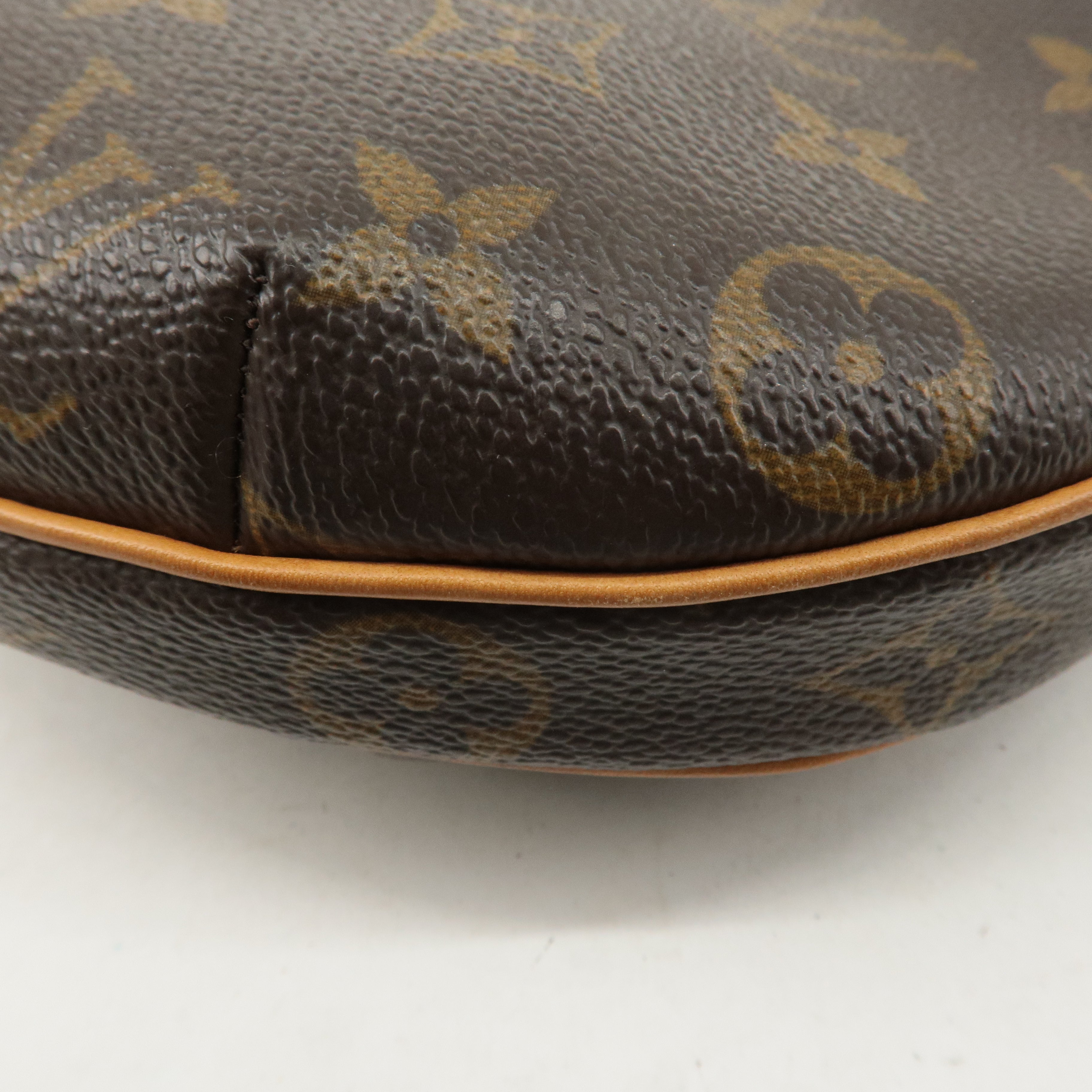 Louis Vuitton Monogram Pochette Croissant Shoulder Bag M51510