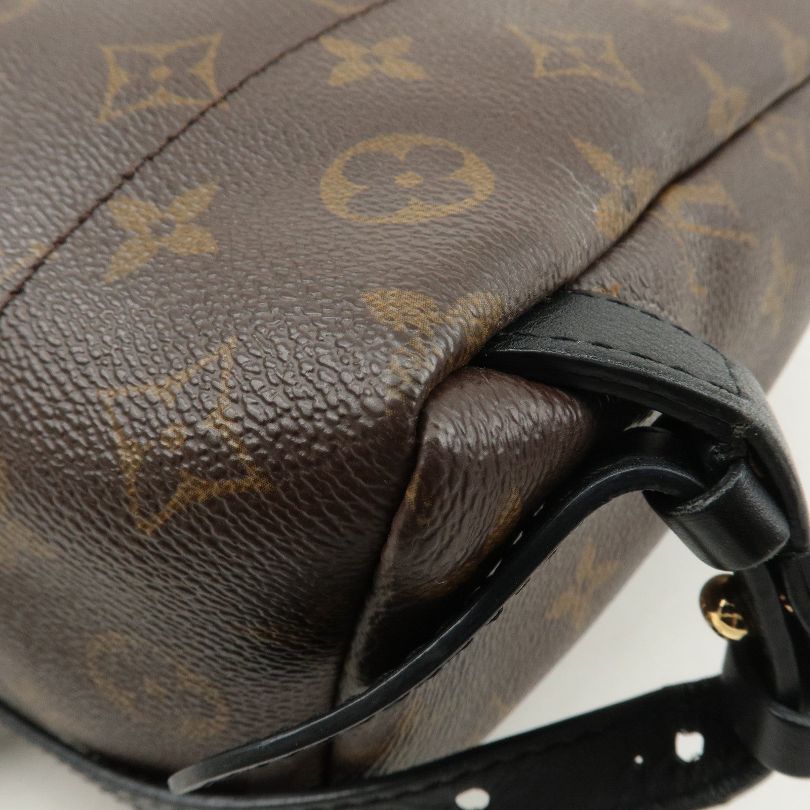 Louis Vuitton Monogram Palm Springs PM Backpack Brown M41560