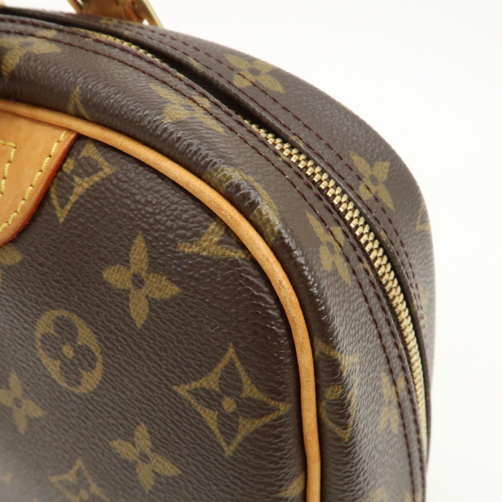 Louis Vuitton Monogram Trueville Hand Bag M42228