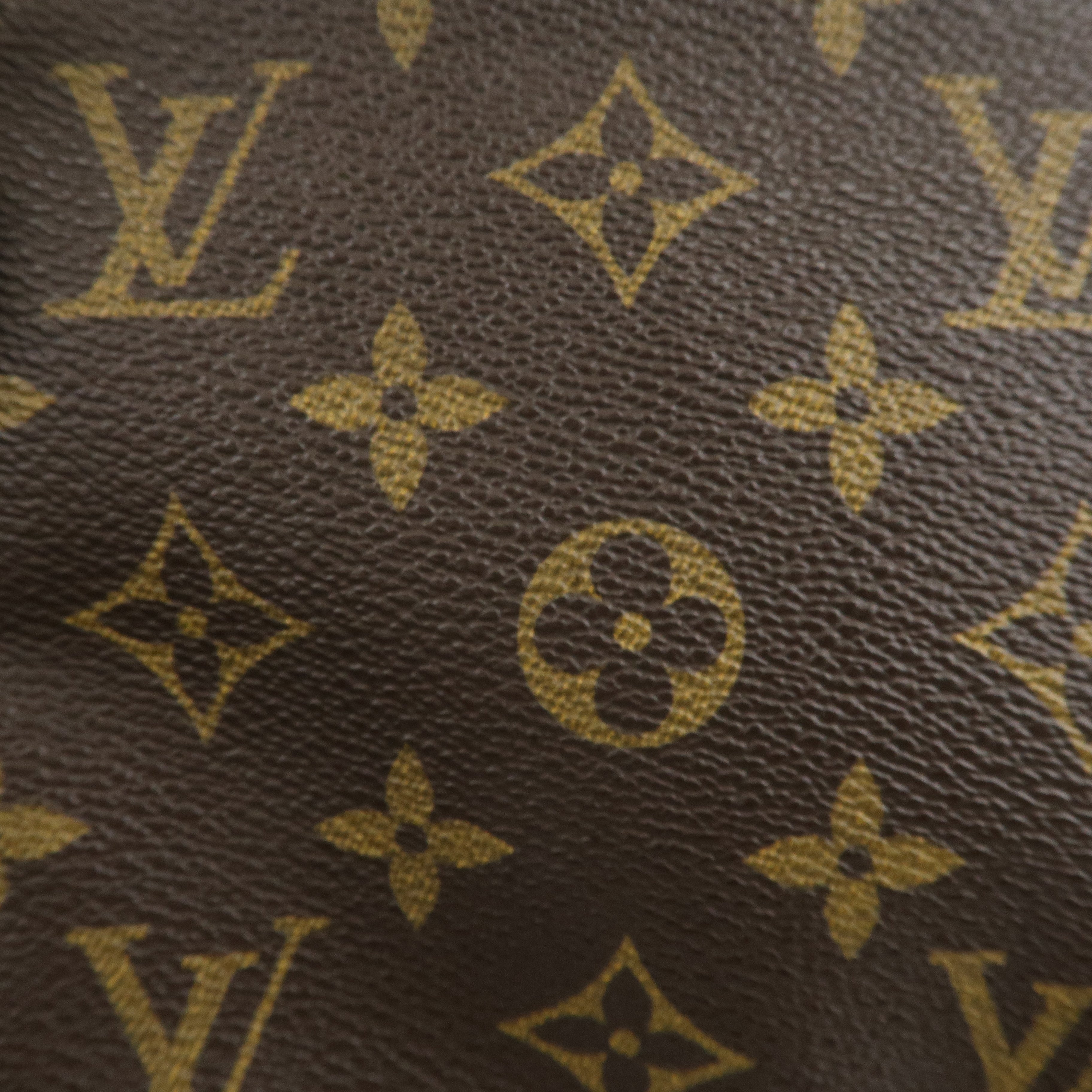 Louis Vuitton Monogram Pochette Accessoires Pouch M51980