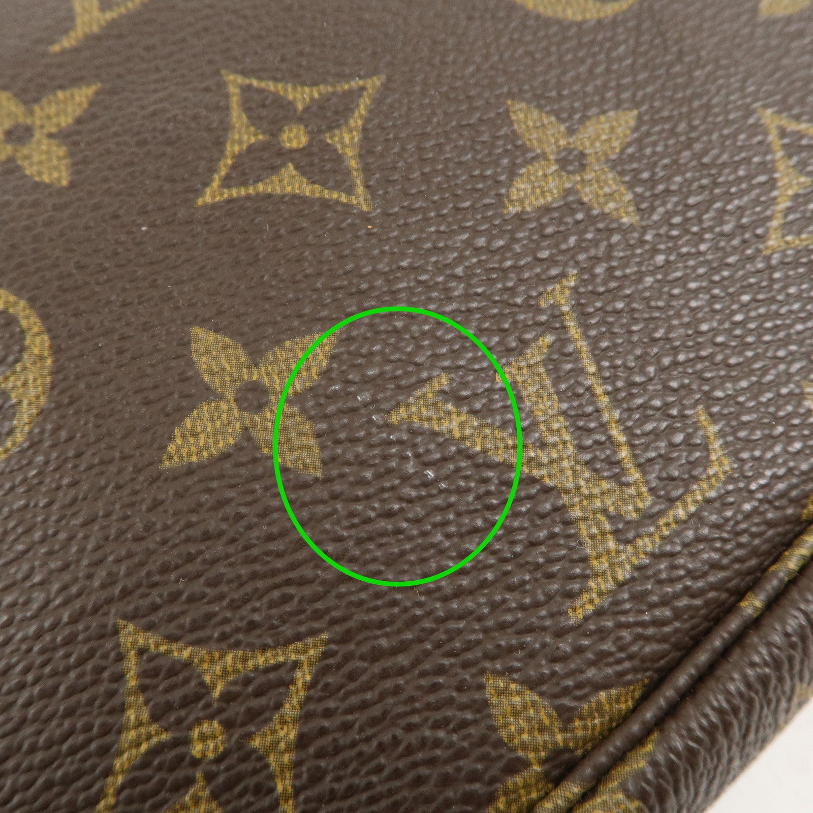 Louis Vuitton Monogram Pochette Accessoir Hand Bag Brown M51980