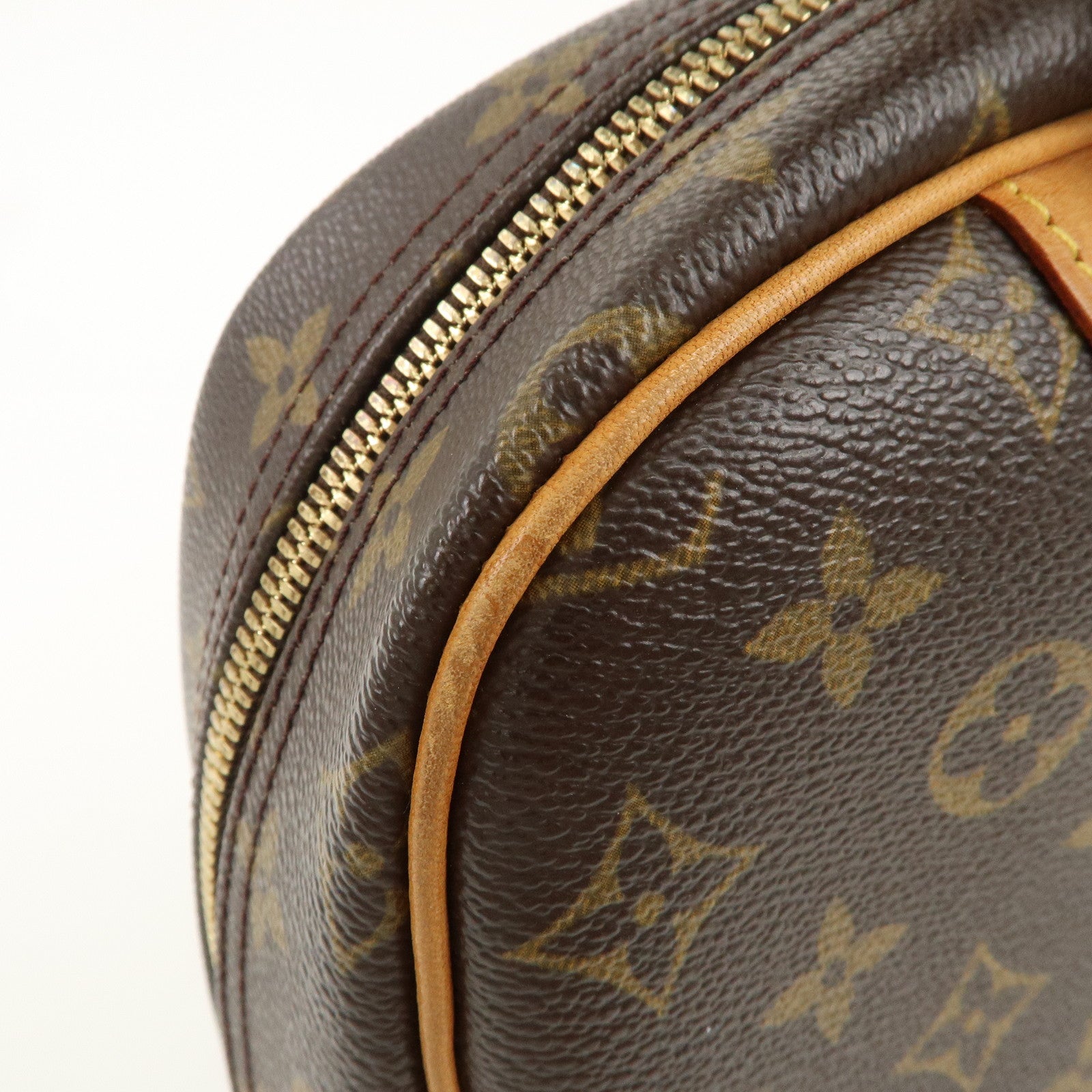 Louis Vuitton Monogram Trueville Hand Bag M42228