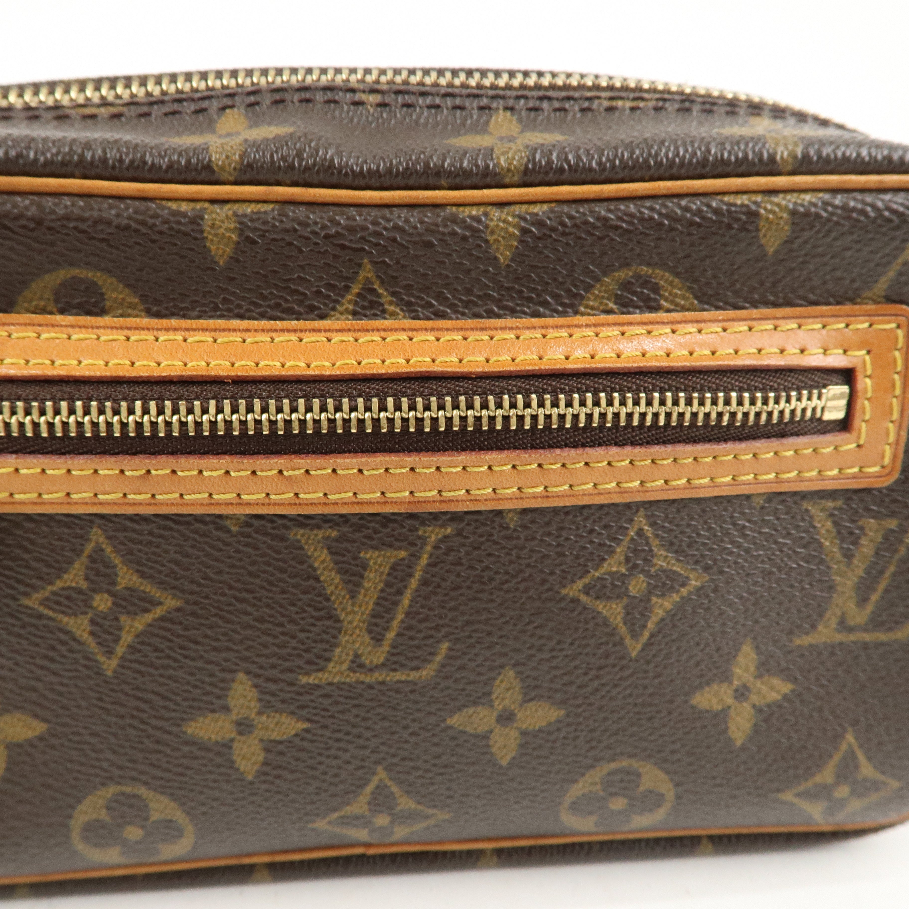 Louis Vuitton Monogram Pochette Cite Shoulder Bag M51183