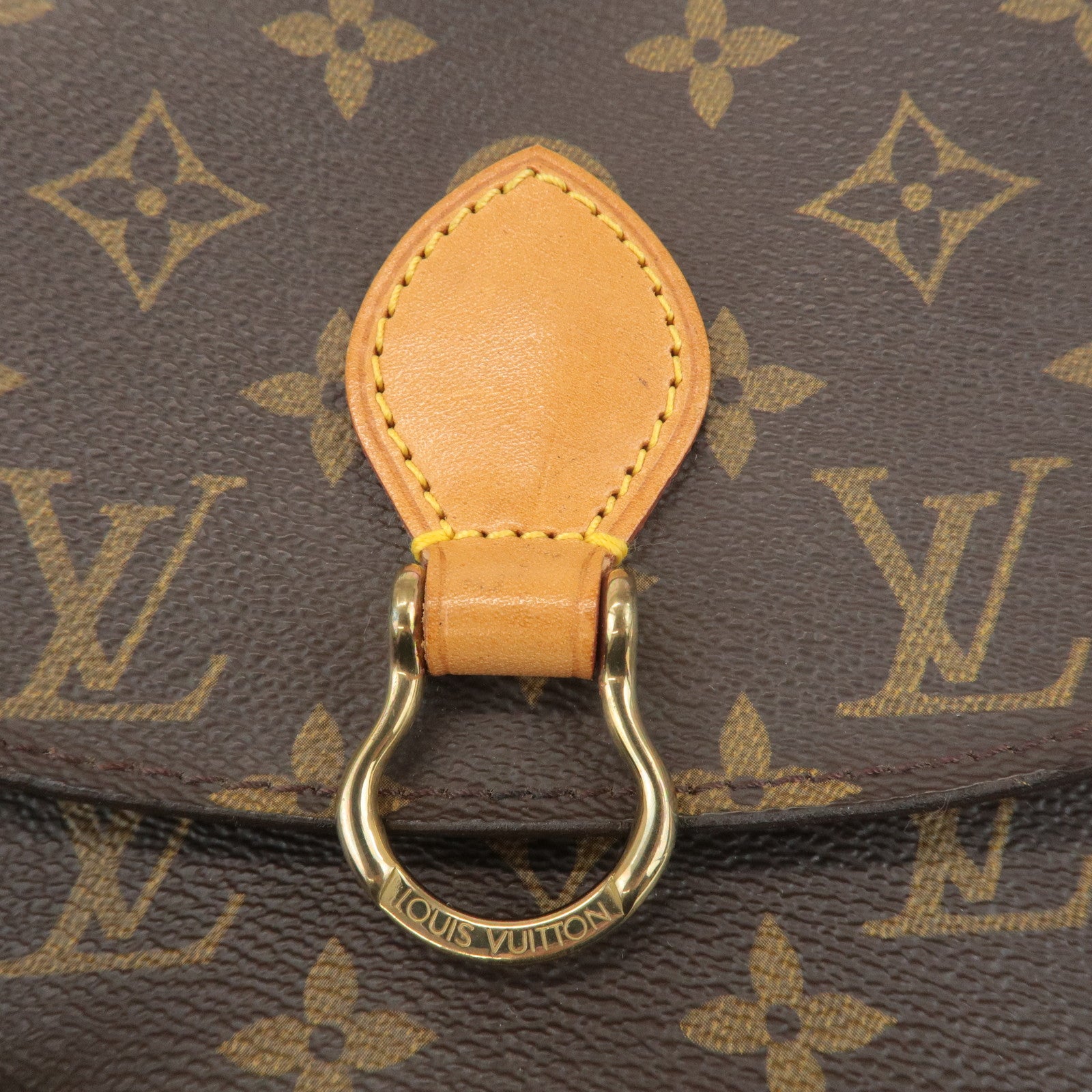 Louis Vuitton Monogram Mini Saint Cloud Shoulder Bag M51244 Used