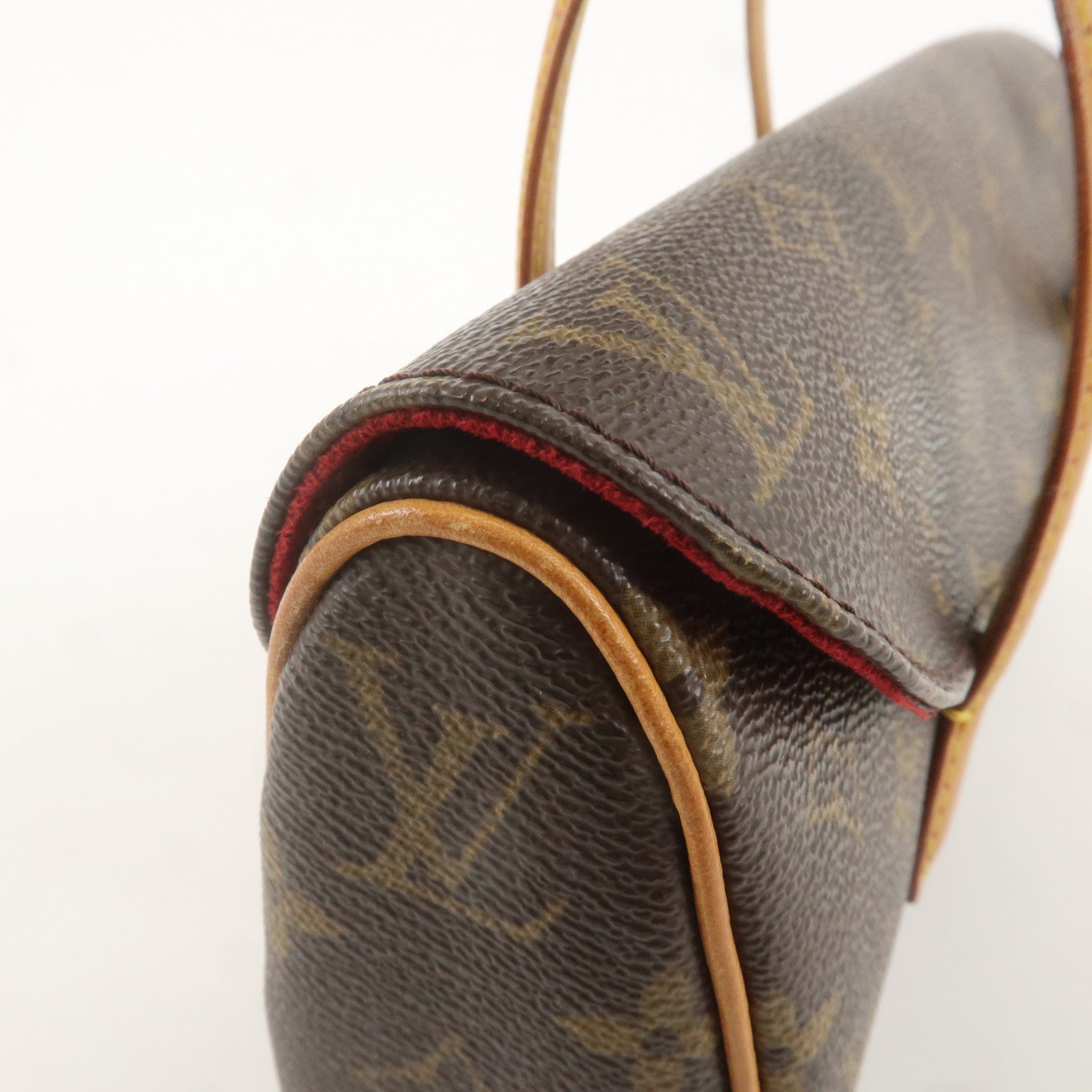 Louis Vuitton Monogram Sonatine Hand Bag Brown M51902