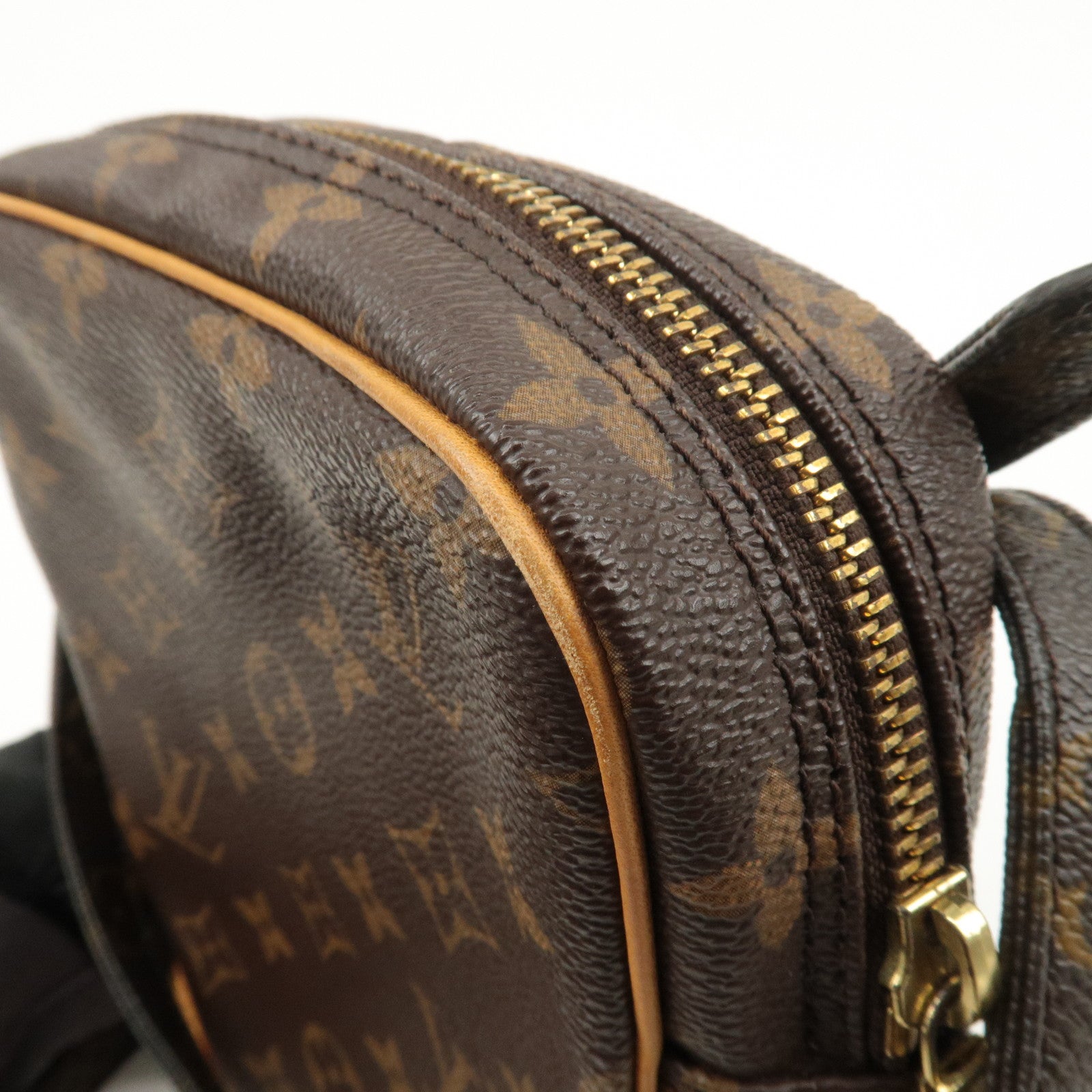 Louis Vuitton Monogram Danube Shoulder Bag Brown M45266