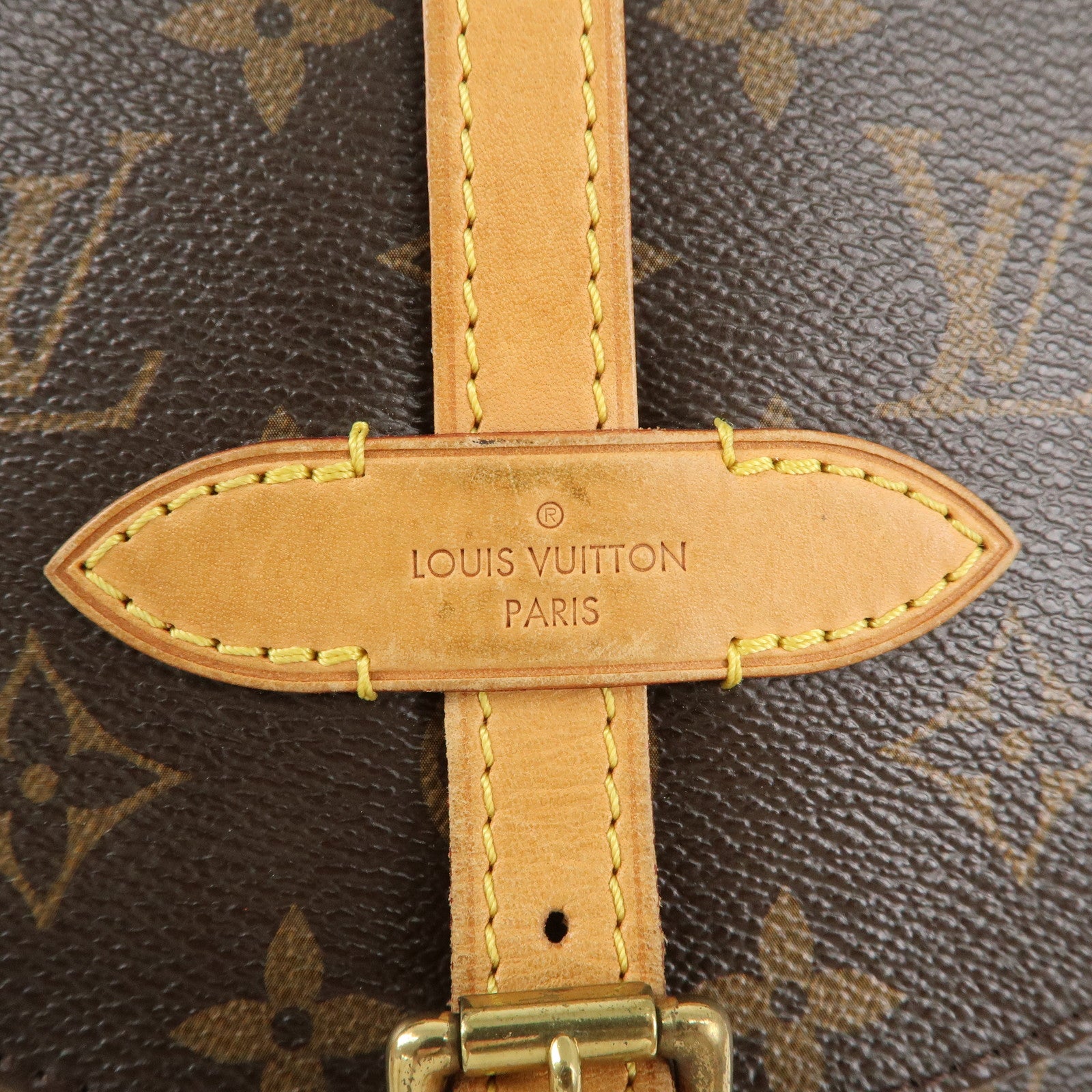 Louis Vuitton Monogram Shanti GM Shoulder Bag Brown M40647