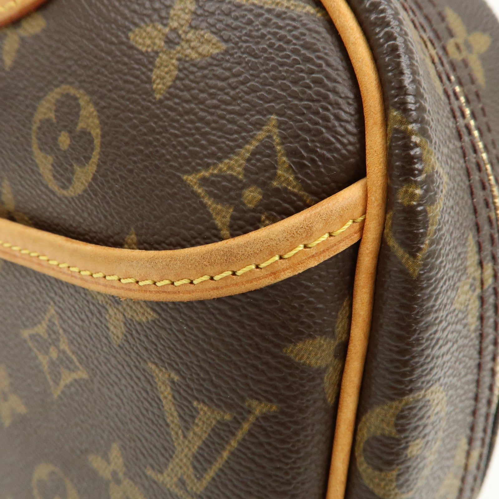 Louis Vuitton Monogram Trueville Hand Bag M42228