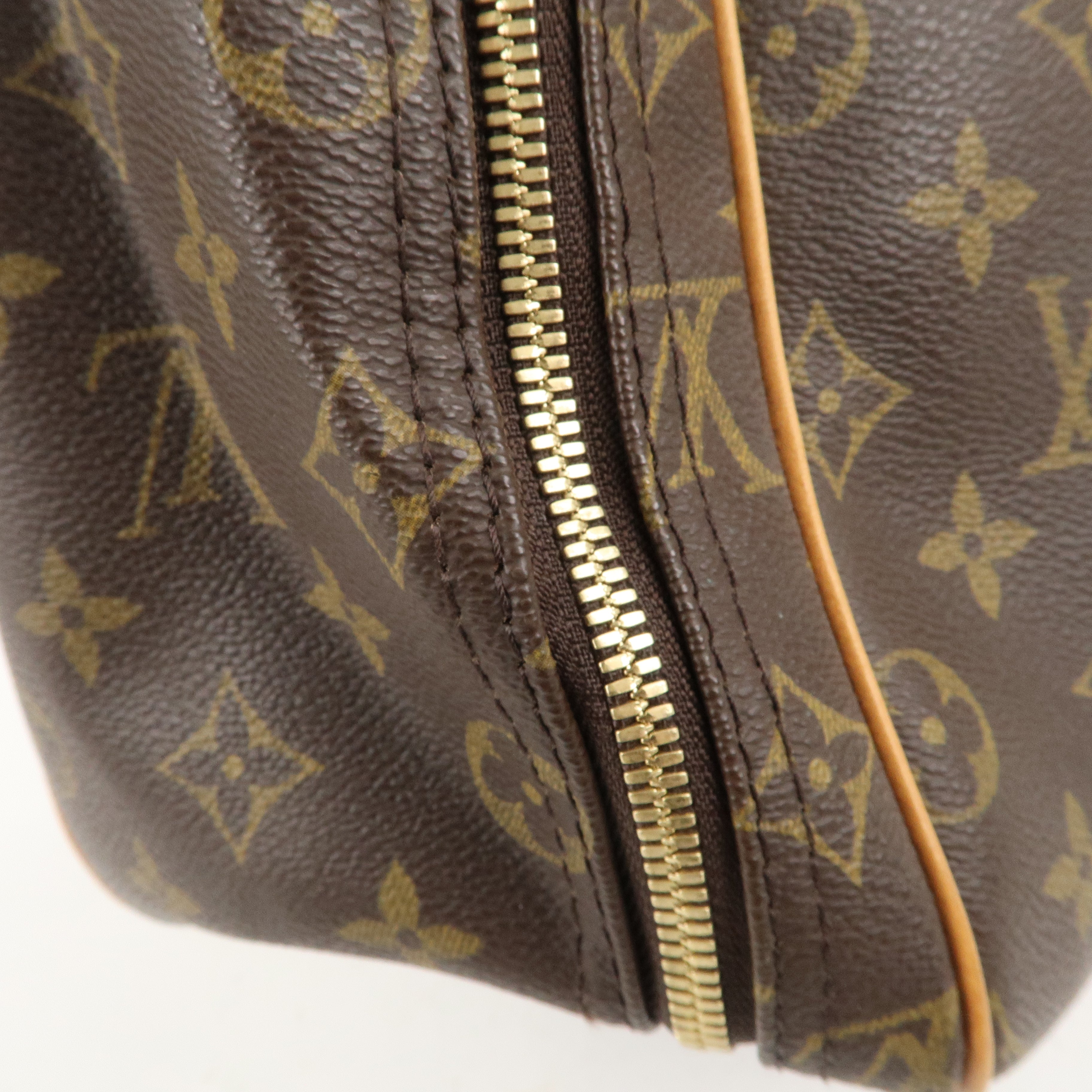 Louis Vuitton Monogram Excursion Shoes Case Hand Bag M41450