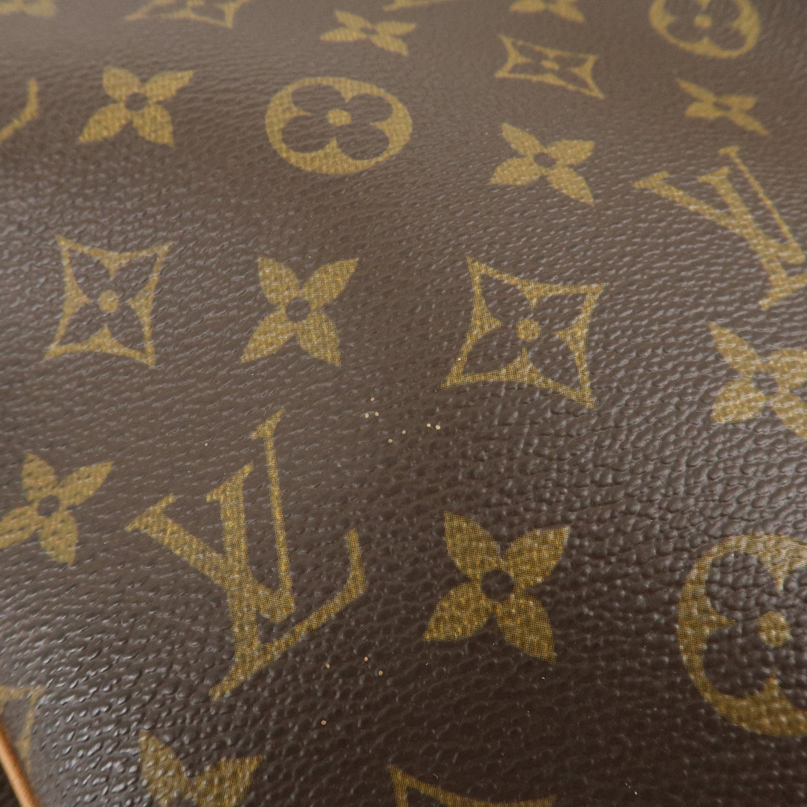 Louis Vuitton Monogram Excursion Shoes Case Hand Bag M41450