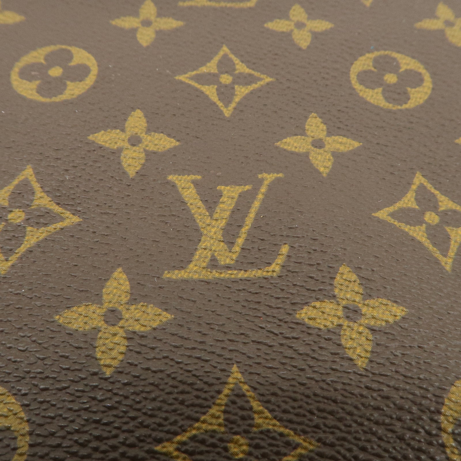 Louis Vuitton Monogram Canvas Leather Racket Case Brown