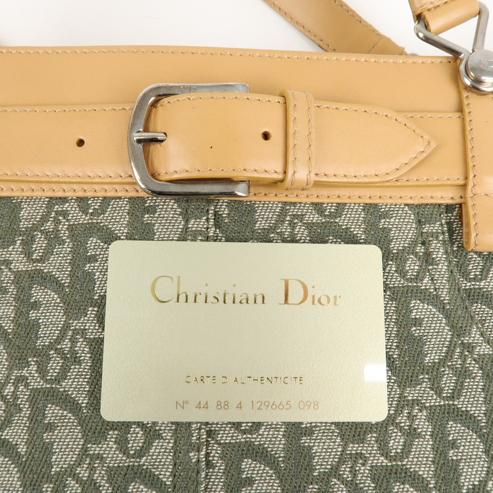 Chiristian Dior Trotter Canvas Leather Tote Bag Green White Beige Used