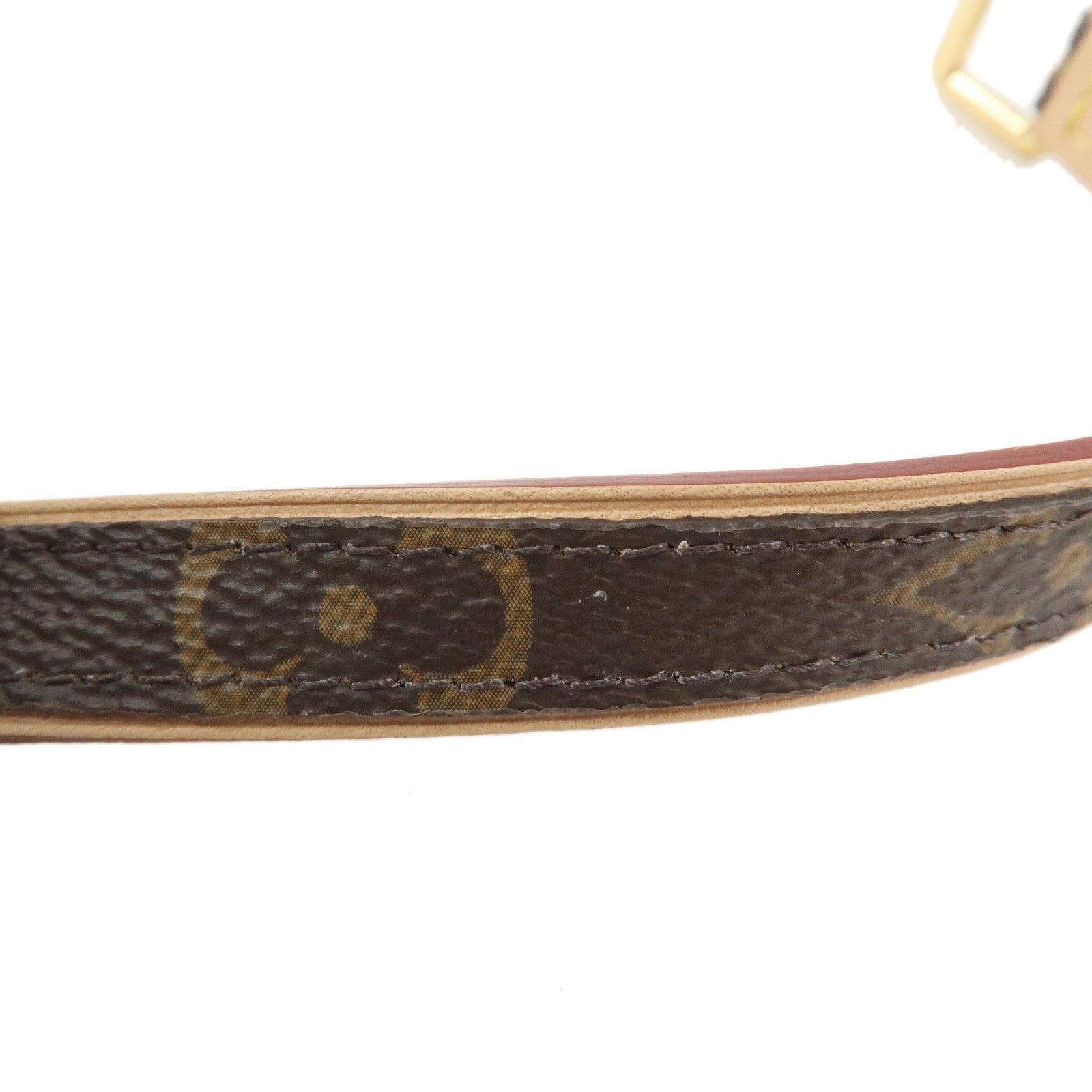 Louis Vuitton Monogram Dog Collar for Small Dogs Brown M80339