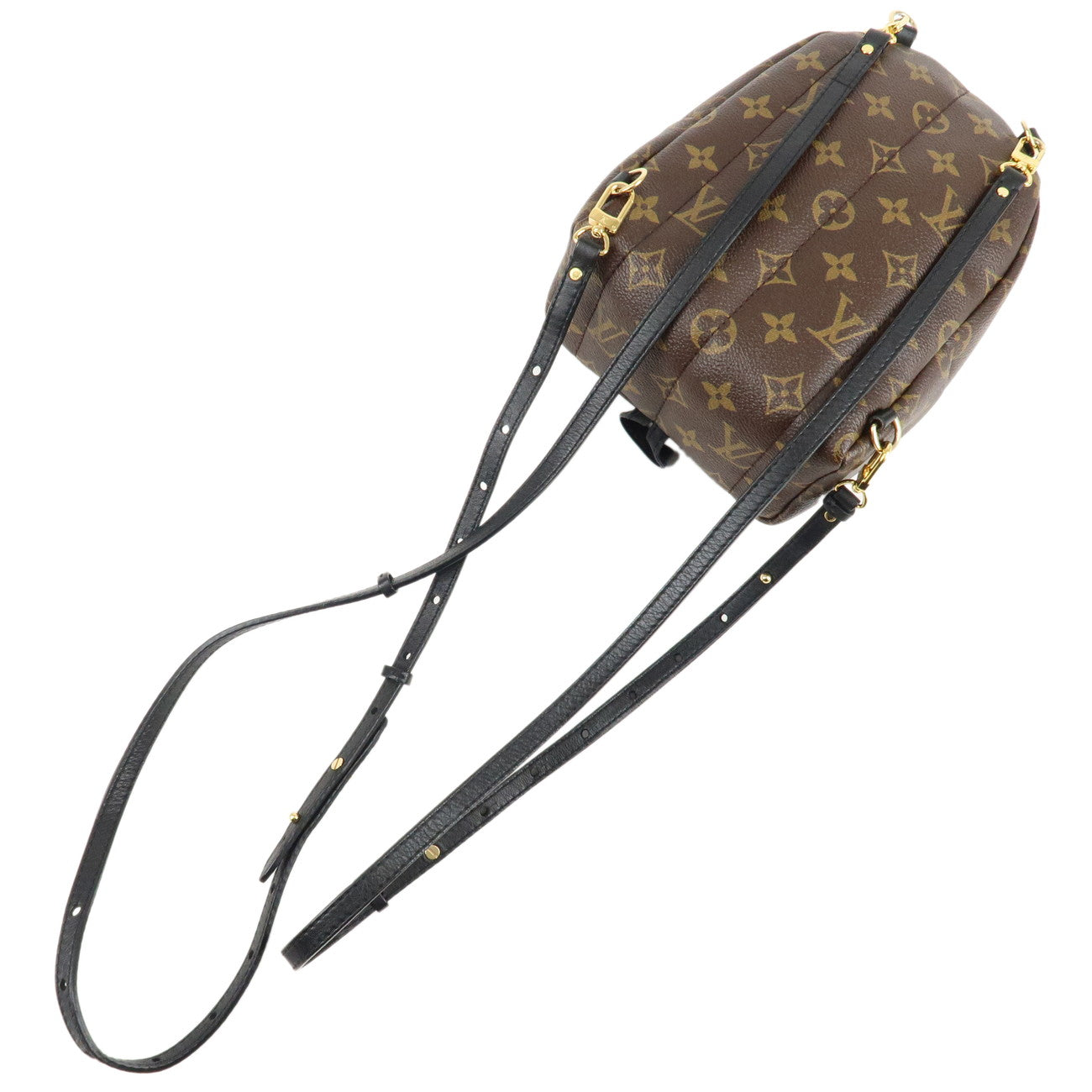 Louis Vuitton Monogram Palm Springs MINI Back Pack M44873