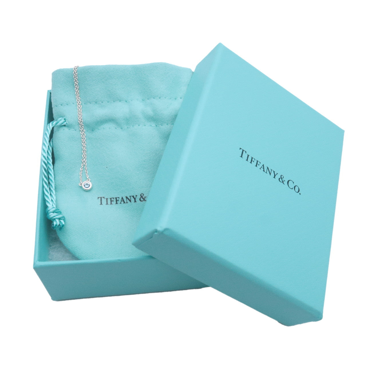 Tiffany&Co. Elsa Peretti By the Yard 1P Aquamarine Necklace 0.13ct