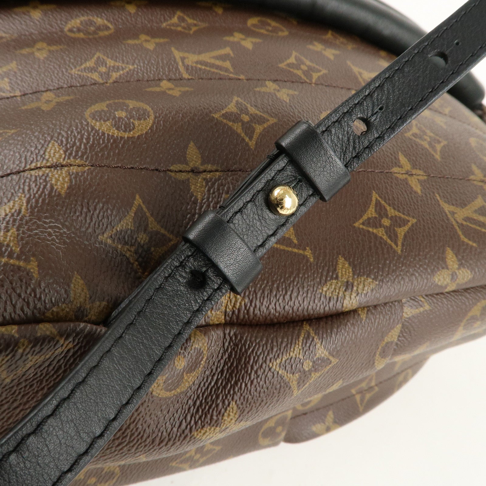 Louis Vuitton Monogram Palm Springs MM Back Pack M41561