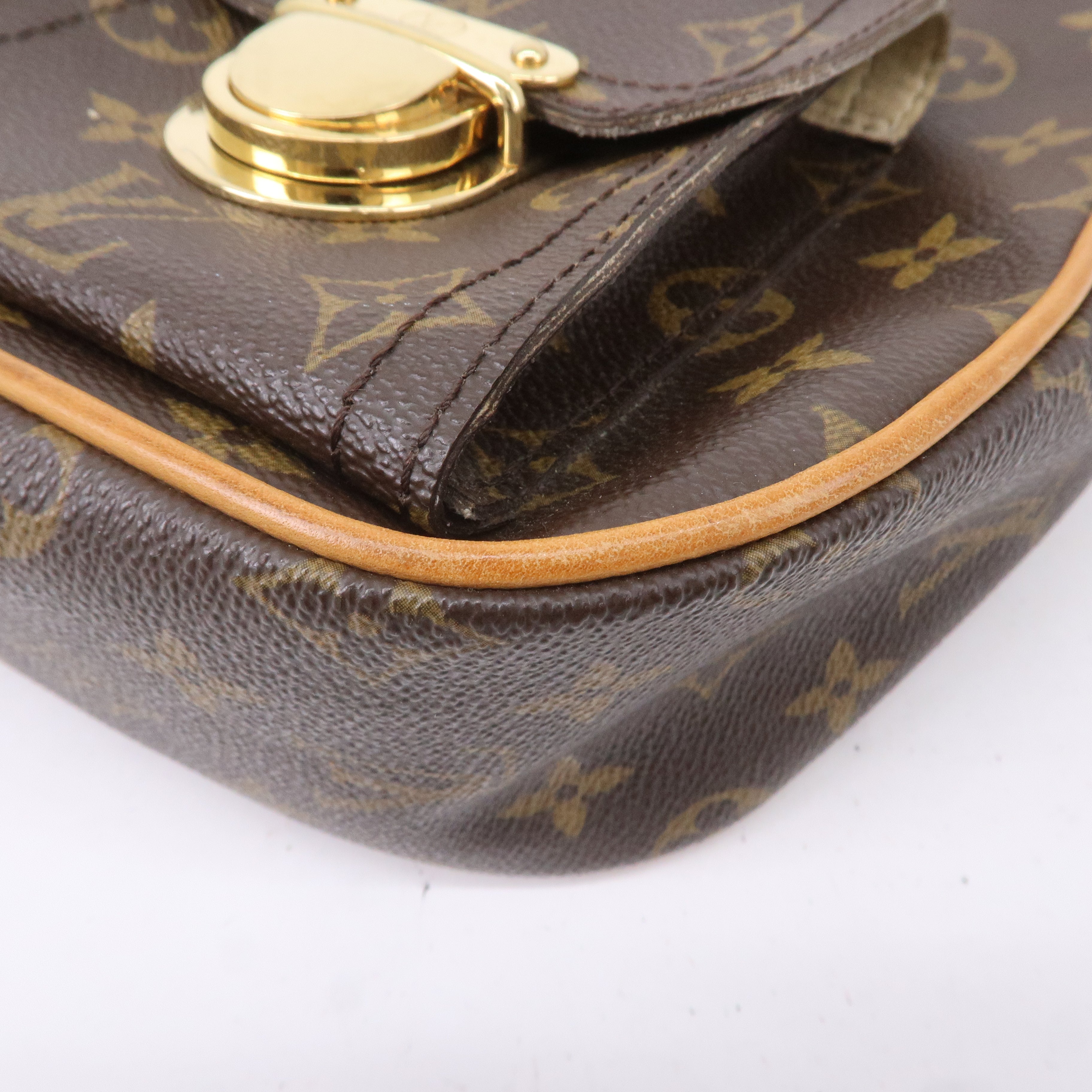 Louis Vuitton Monogram Hudson GM Shoulder Bag Brown M40045