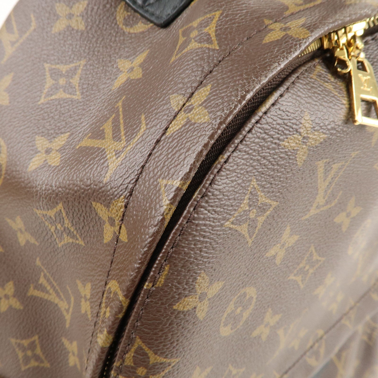 Louis Vuitton Monogram Palm Springs MM Back Pack M41561