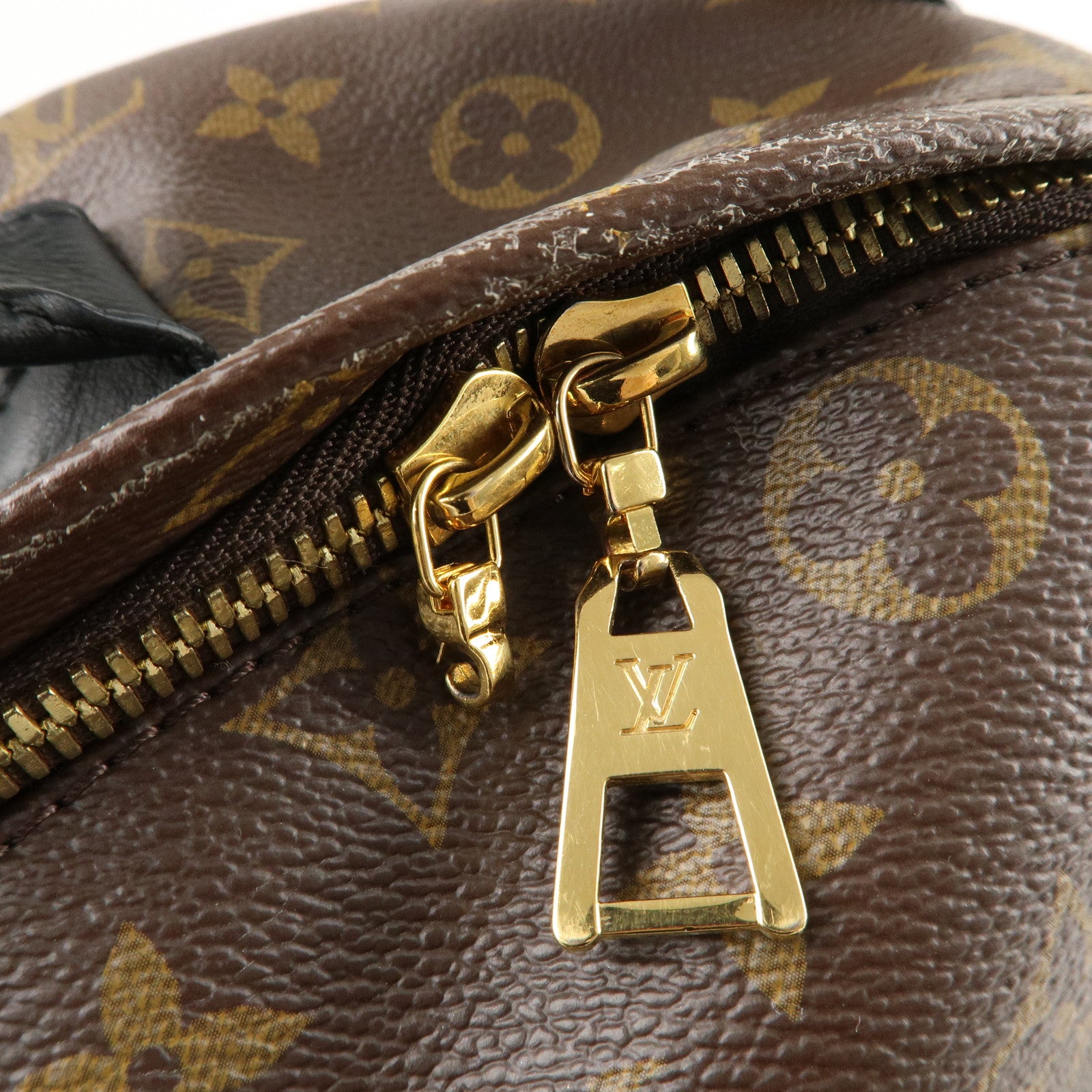 Louis Vuitton Monogram Palm Springs MM Back Pack M41561