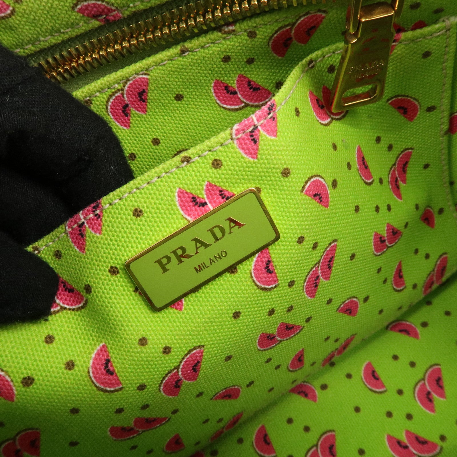 PRADA Logo Canapa Mini Canvas Leather 2Way Bag Green Pink 1BG439