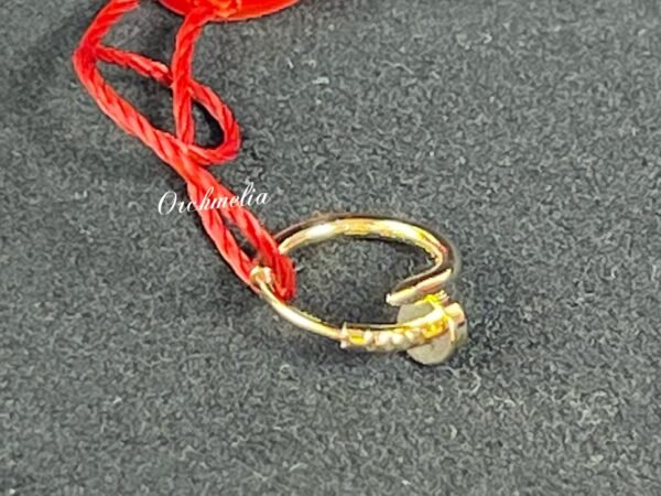 Cartier Jewelry 0011