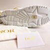 Dior Shoes