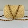 Chanel 24K Teddy Bear-Shearling Flap Bag.