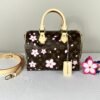 LV X Murakami Cherry Blossom Speedy 25