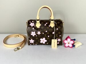 IMG_6444 LV X Murakami Cherry Blossom Speedy 25