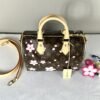LV X Murakami Cherry Blossom Speedy 25