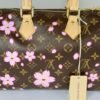 LV X Murakami Cherry Blossom Speedy 25